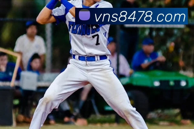 威尼斯人官网平台生态图